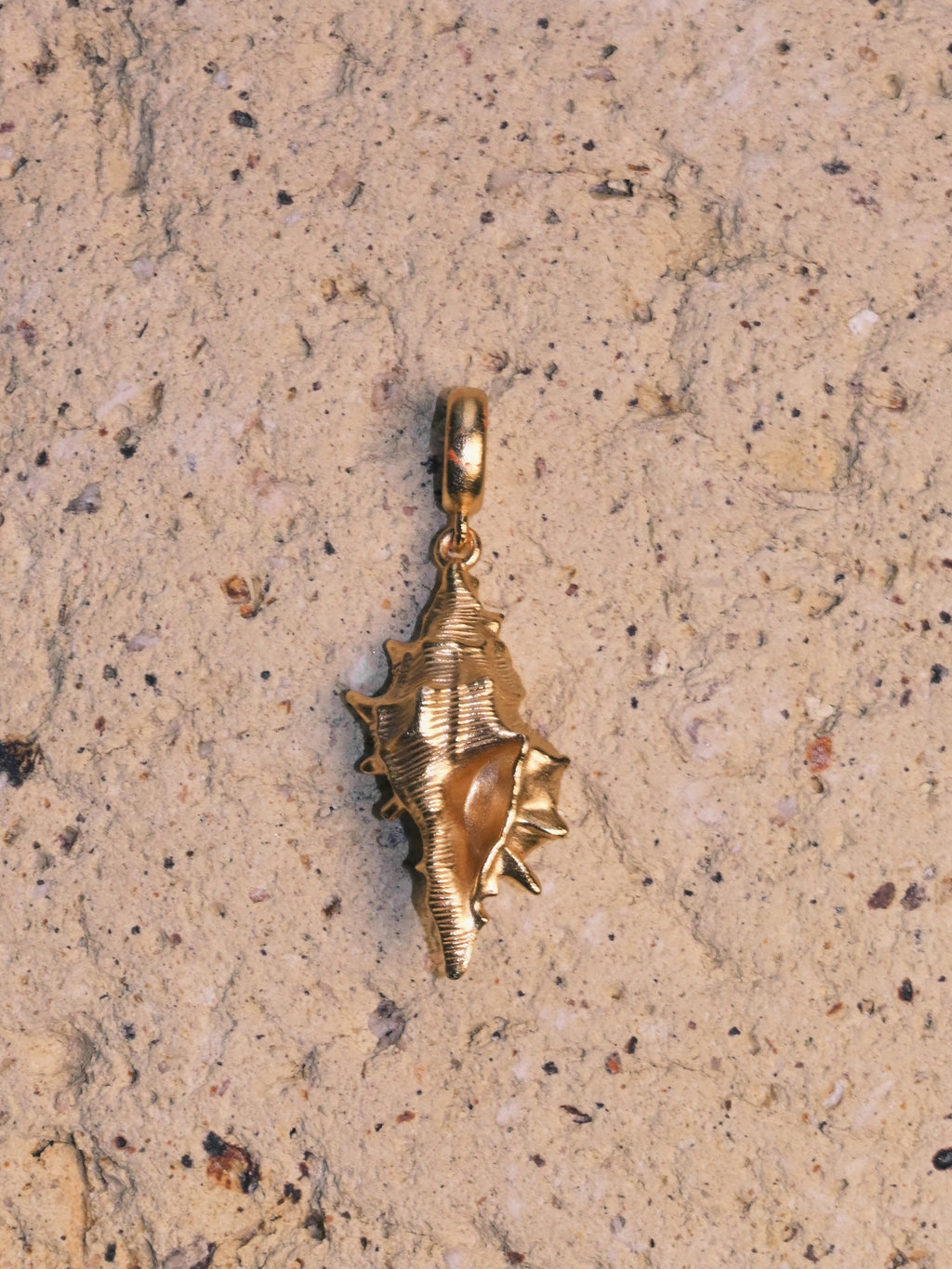 Solace & I | "Ocean Whisper" Shell Necklace - Hand-Textured S925 Silver with 14K Champagne Gold