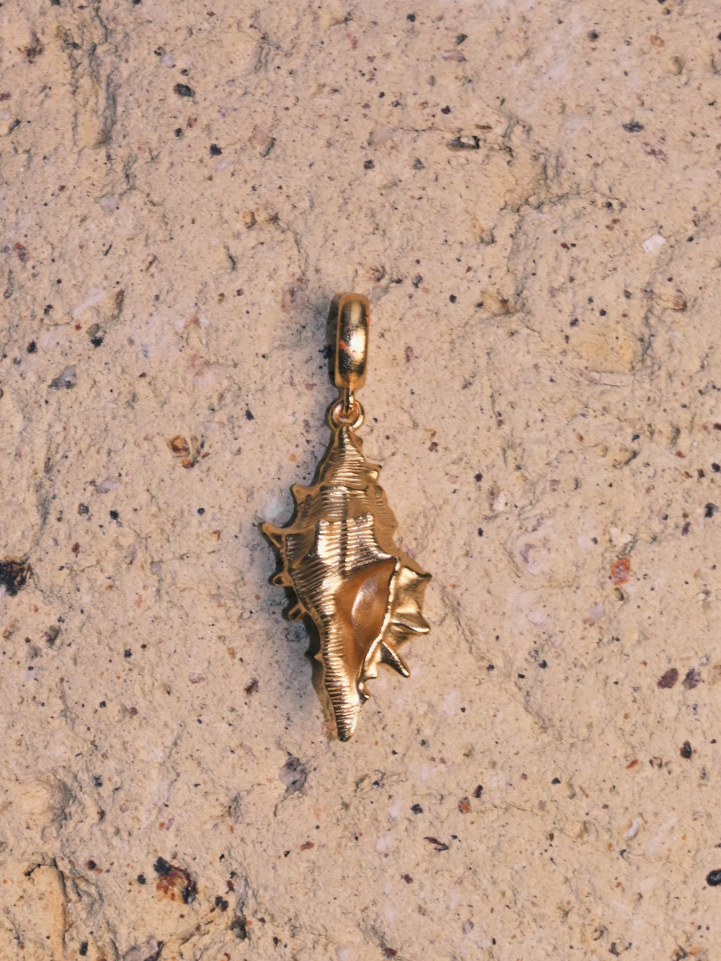 Solace & I | "Ocean Whisper" Shell Necklace - Hand-Textured S925 Silver with 14K Champagne Gold